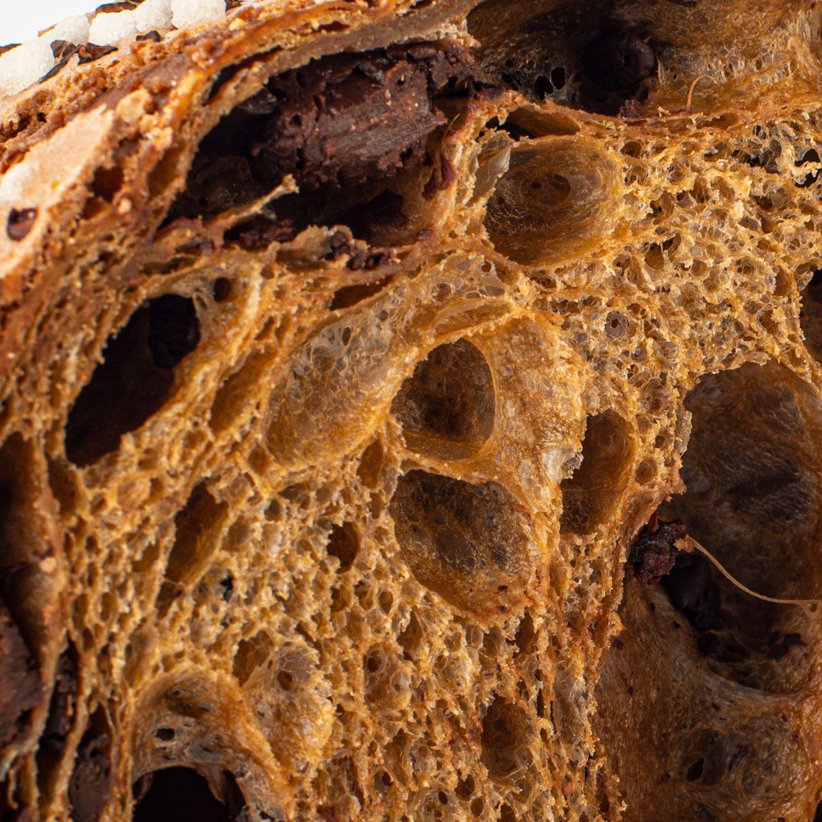 Colomba al cioccolato