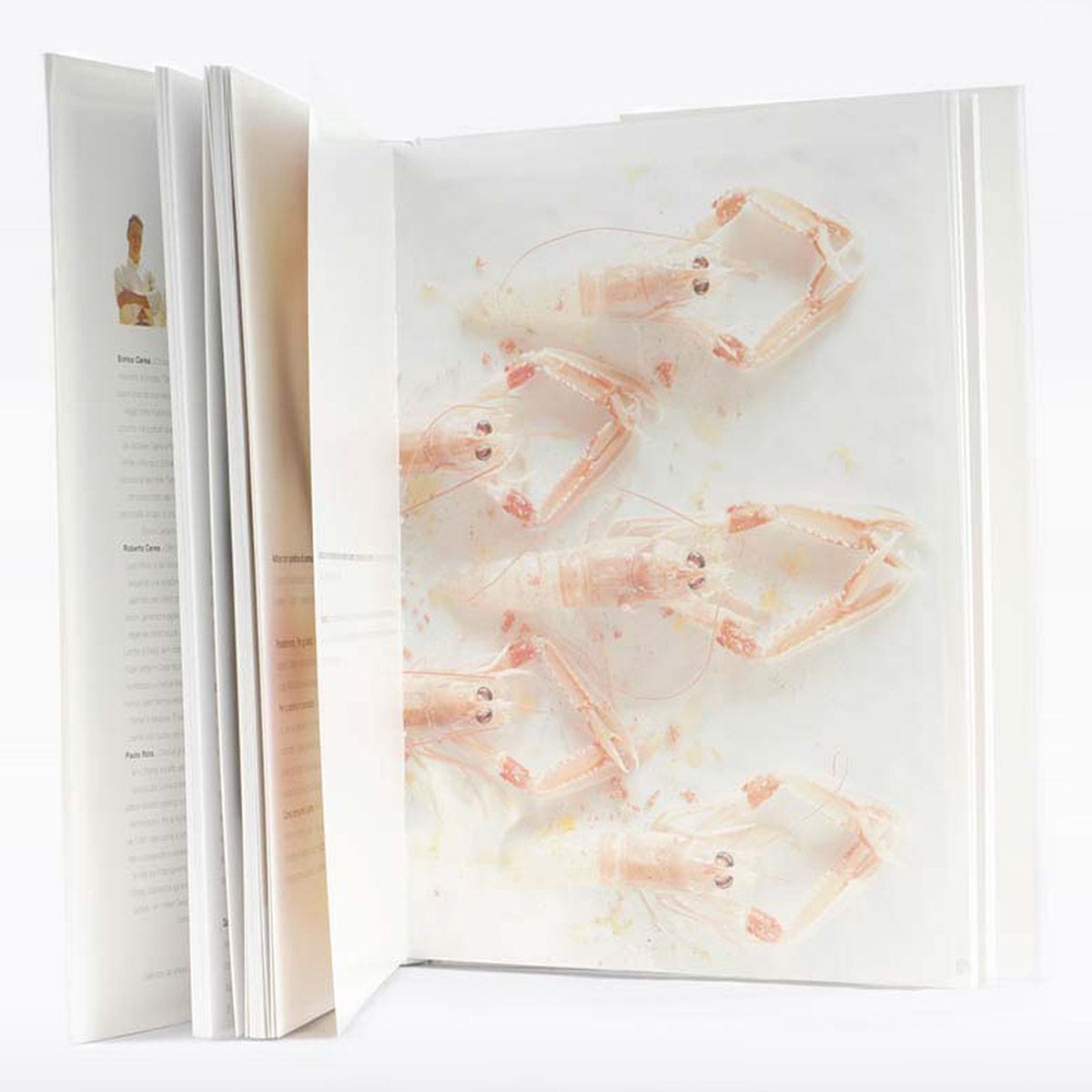 Libro “Damare”