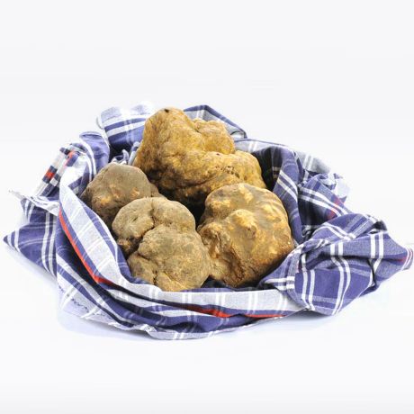 Tartufo bianco d’Alba