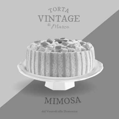 Mimosa